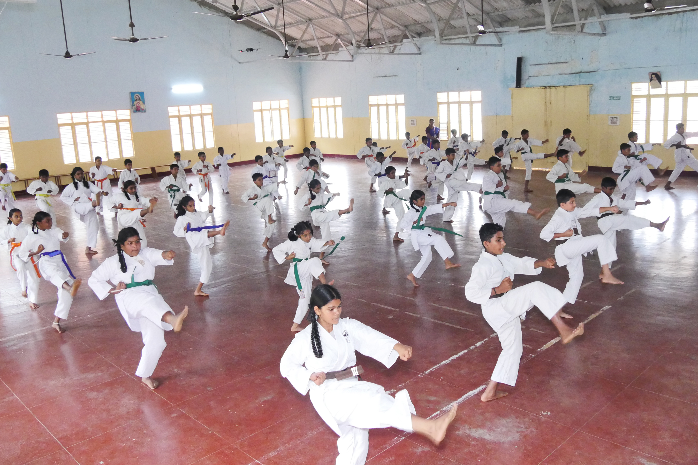 Karate Training